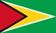 Description: Description: Flagge Guyanas