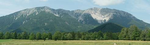 Schneeberg/Alps