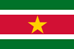 Description: Description: Flagge Surinames