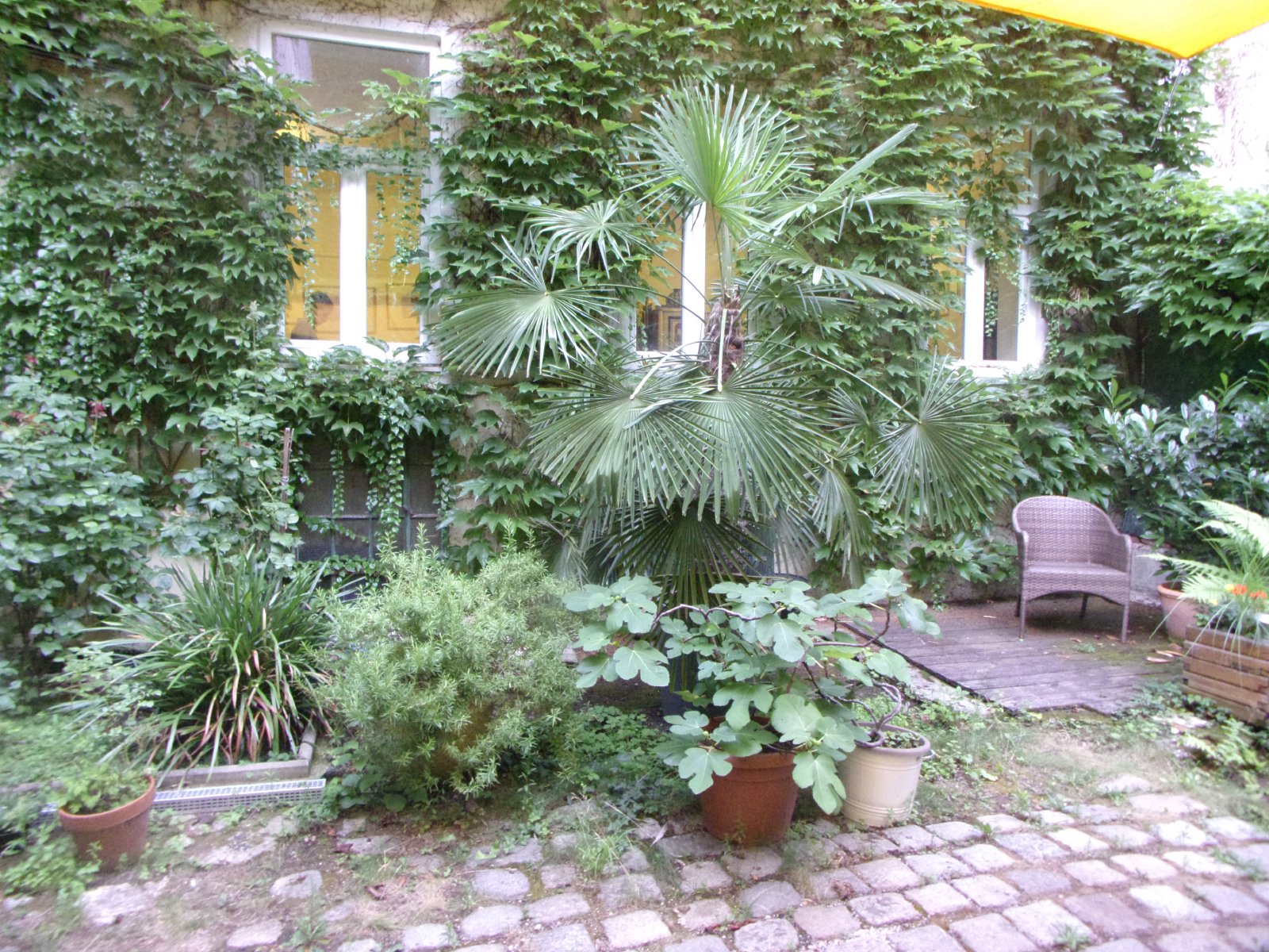 Hof der Amauta Bibliothek